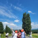 아주-0035 이미지