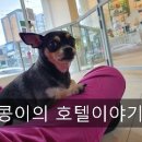더조은 동물의료센터 이미지