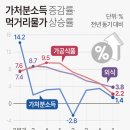 먹고먹고먹거리