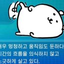 봄 여름 가을 겨울