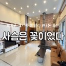 사슴은 꽃이었다 | 사슴은 꽃이었다 대구 대가족 풀빌라 내돈내산 방문후기