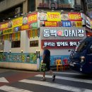 공간동백 | 대전 둔산동 넓은 공간의 술집 <동백야시장> 솔직후기🔥