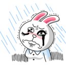 프로펫 애견샵 이미지