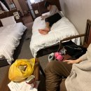 서인약국 | 1/6-1/9 JAPAN✈️