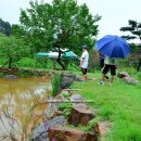 용문산야생화마을 이미지