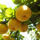 종호농장 이미지