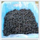 국산9길 이미지