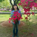 내장산 단풍생태공원 이미지