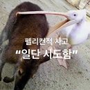 7월 기간제 근무 일기 2. 뉴발란스 모어V4 후기 | 환승연애 서동진 유튜브 | 직장인 출근룩