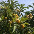 무랑민박 이미지