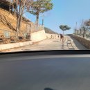 권실장 참마 찹쌀꽈배기 태백황지점 이미지