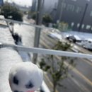 메가MGC커피광양 이미지