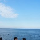 바다정성 | 제주 바다 웨딩스냅 촬영 후기 | 바다들판과 해변, 어떤 장소가 더 잘 어울릴까요?