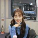 나미머리