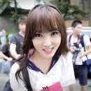 정글그룹 네이버블로그
