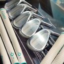 미스테리골프연습장 | 분당 피팅샵 미스테리 메이 민트 여성 아이언 구매(한스클럽하우스 골프피팅)