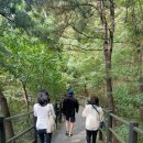 라인피니타컴퍼니 | 라인피니타컴퍼니와 함께한 안산자락길 무료투어 후기