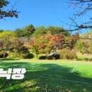 금강송체험야영장 이미지