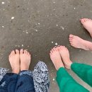 거북선숯불풍천장어 이미지