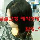 곱슬머리 이미지