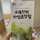 하동편백자연휴양림 이미지