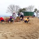 바람이좋은화산마을 이미지