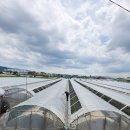 대원관광농원 이미지