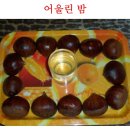 굿밤 Daum카페