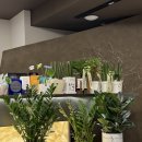 박준형피부과의원 이미지