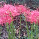 늘청춘건강원 이미지