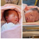 에이치아이 여성의원 시험관 쌍둥이 임신 내돈내산 후기