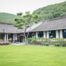 문경 모심정 돌잔치, 비 온 뒤 더 예뻤던 잔디정원 돌상 후기 | 바네사파티