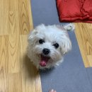 흰돌미용실 | 2개월 간단요약 일기(인데 말 많음..)