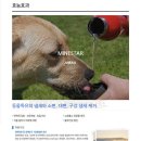 미네일 이미지