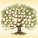 구해줘아파트닷컴부동산중개사무소 | [월부닷컴] 재테크 강의기초반 3주차 강의후기