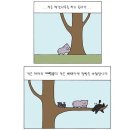 트레이닝데이 이미지