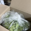 정진농장 이미지