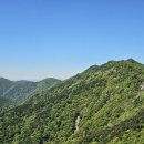 260505 담양 병풍산+삼인산 (월간산 백명, 명산100+) 이미지