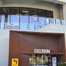 제2만덕지소(남) | 만덕 대형 카페 추천 "카엘리움" 주말 방문 후기 및 꿀팁