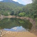 곡성농협주유소 Daum카페