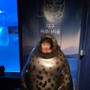 대구 신세계 아쿠아월드