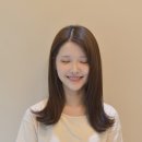 시영드라이 이미지