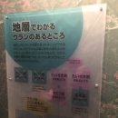 아톰목장 이미지