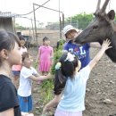 인성농장 이미지