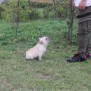 프불리하우스 이미지