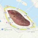 네임월드 | [러닝 집업] 나이키 스위프트 드라이 핏 풀집 미드 레이어 러닝 탑 월드인디고 내돈내산 후기