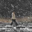 백전초교 이미지