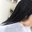 카카몽 애견미용실 | 오산대역 물향기수목원 근처 미용실 아드리다헤어에서 카나토 크리닉과 레이어드컷 후기