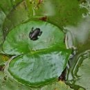 천둥소리 이미지