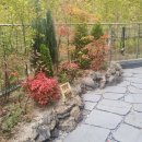 코끼리부동산공인중개사사무소 이미지